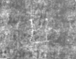 Wasserzeichen IS5000-02-0216_26v