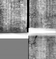 Wasserzeichen DE5580-Muspr46Cantus_K3