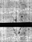 Wasserzeichen DE5580-4Muspr159Beibd2Cantus_g1