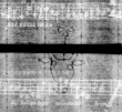 Wasserzeichen DE5580-4Muspr159Beibd2Bassus_BB1