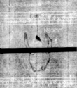 Wasserzeichen DE5580-4Muspr159Beibd2Bassus_LL1