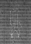Wasserzeichen DE8100-Codmed29_66