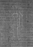 Wasserzeichen DE8100-Codmed29_73