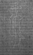 Wasserzeichen DE8100-Codmed29_77