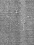 Wasserzeichen DE8100-Codmed29_170