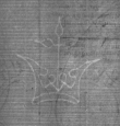 Wasserzeichen DE8100-Codmed29_158