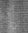 Wasserzeichen DE8100-Codmed29_181