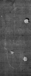 Wasserzeichen DE8100-CodMed25_I