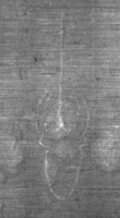 Wasserzeichen DE8100-CodMed25_19