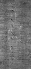 Wasserzeichen DE8100-CodMed25_118