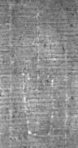 Wasserzeichen DE8100-CodMed25_195