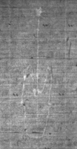 Wasserzeichen DE8100-CodMed25_206
