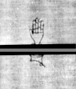 Wasserzeichen DE5580-4Muspr201Beibd11Cantus_B3