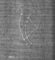 Wasserzeichen DE8100-CodMed27_92