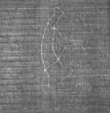 Wasserzeichen DE8100-CodMed27_87