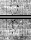 Wasserzeichen DE5580-4Muspr453Cantus_DD1