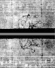 Wasserzeichen DE5580-4Muspr453Tenor_k3