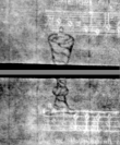 Wasserzeichen DE5580-4Muspr453Tenor_l3