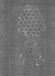 Wasserzeichen DE8100-CodMed228_4