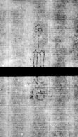 Wasserzeichen DE5580-4Muspr167Beibd1Cantus_BB3