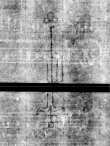 Wasserzeichen DE5580-4Muspr167Beibd1Cantus_II3