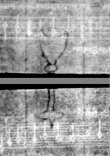 Wasserzeichen DE5580-4Muspr453Tenor_r3