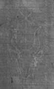 Wasserzeichen DE8100-CodMed214_414
