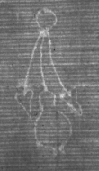 Wasserzeichen DE8100-CodMed225_18