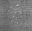 Wasserzeichen DE8100-CodMed225_136
