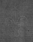 Wasserzeichen DE8100-CodMed225_190