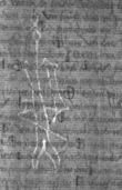 Wasserzeichen DE8100-CodMed229_15