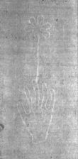 Wasserzeichen DE5025-Philos06_34