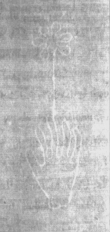 Wasserzeichen DE5025-Philos06_59