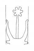 Wasserzeichen DE4200-Donaueschingen794_39