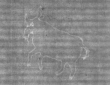 Wasserzeichen DE8100-CodMed233_81