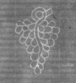 Wasserzeichen DE8100-CodMed233_127