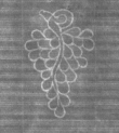 Wasserzeichen DE8100-CodMed233_128