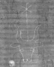 Wasserzeichen DE8100-CodMed233_72