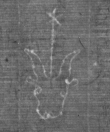 Wasserzeichen DE8100-CodMed233_186
