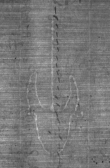 Wasserzeichen DE8100-CodMed233_211