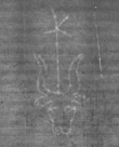 Wasserzeichen DE8100-CodMed233_160