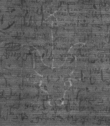 Wasserzeichen DE8100-CodMed233_236
