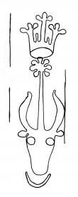 Wasserzeichen DE8150-HS_976_91