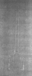 Wasserzeichen DE5025-Philos03_323