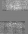 Wasserzeichen DE5025-tl172_39