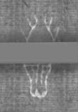 Wasserzeichen DE5025-tl172_49
