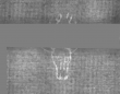 Wasserzeichen DE5025-tl172_52