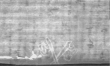Wasserzeichen DE5025-tl170_137