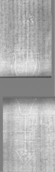 Wasserzeichen DE5025-tl171_2