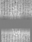 Wasserzeichen DE5025-tl171_10